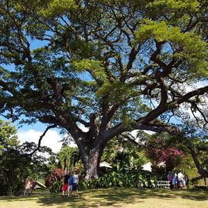 Meet your Posher, Joel